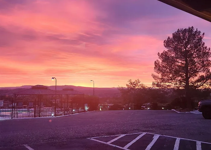 The View *